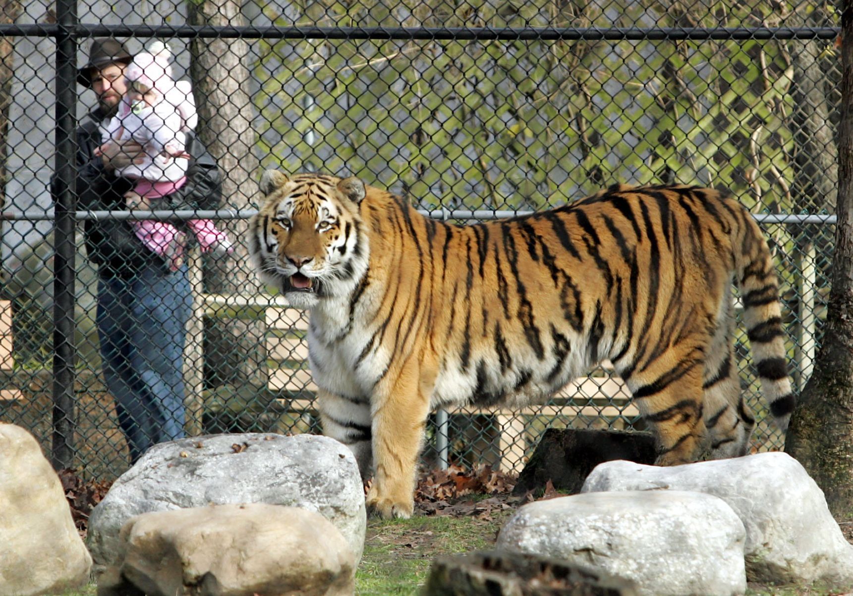 Zoo Safety